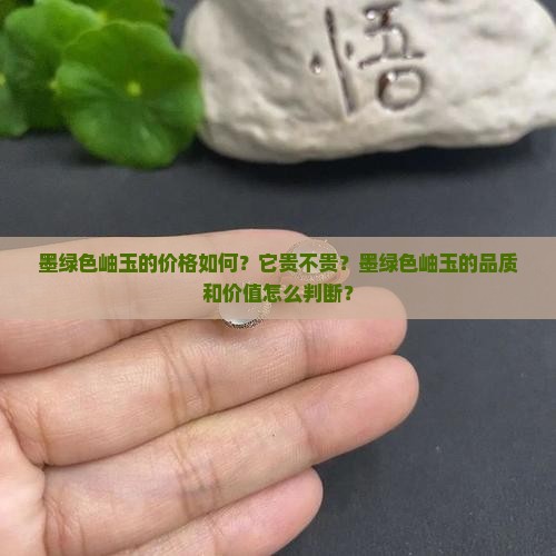 墨绿色岫玉的价格如何？它贵不贵？墨绿色岫玉的品质和价值怎么判断？