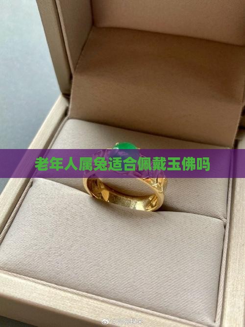 老年人属兔适合佩戴玉佛吗