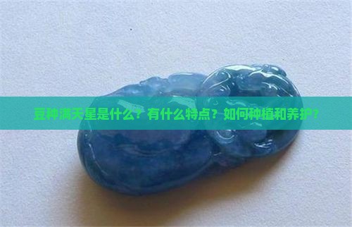 豆种满天星是什么？有什么特点？如何种植和养护？