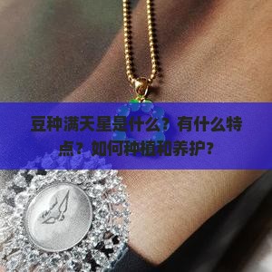 豆种满天星是什么？有什么特点？如何种植和养护？