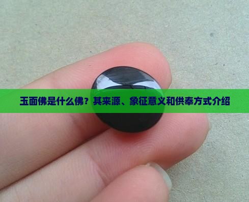 玉面佛是什么佛？其来源、象征意义和供奉方式介绍