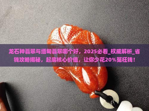 龙石种翡翠与缅甸翡翠哪个好
