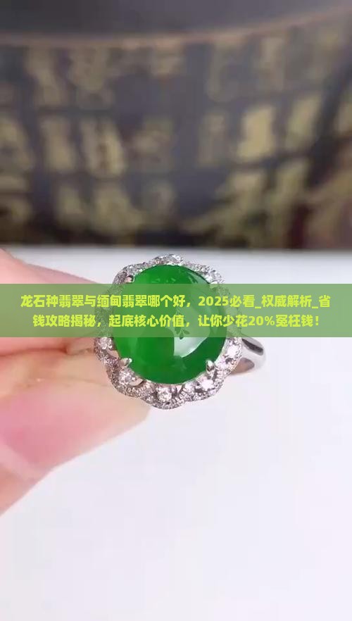 龙石种翡翠与缅甸翡翠哪个好