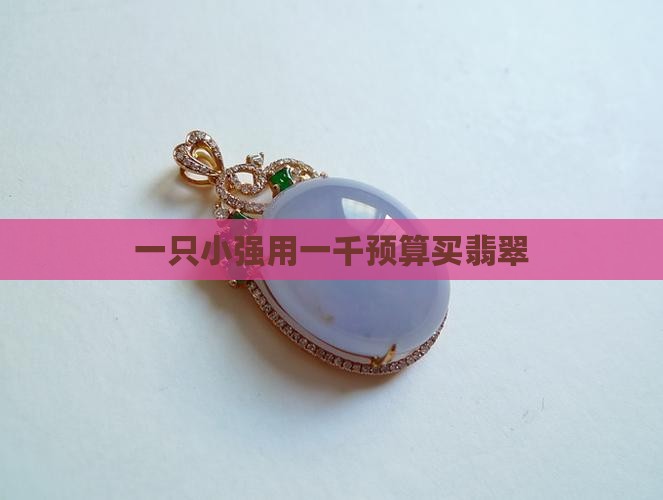 一只小强一千预算买翡翠