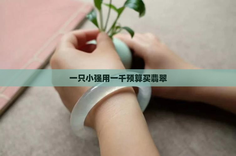 一只小强一千预算买翡翠