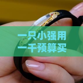 一只小强一千预算买翡翠
