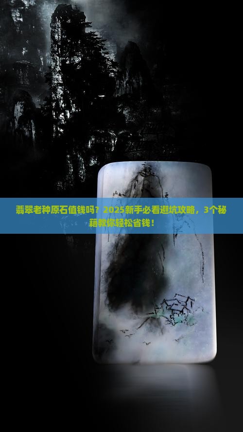 翡翠老种原石值钱吗