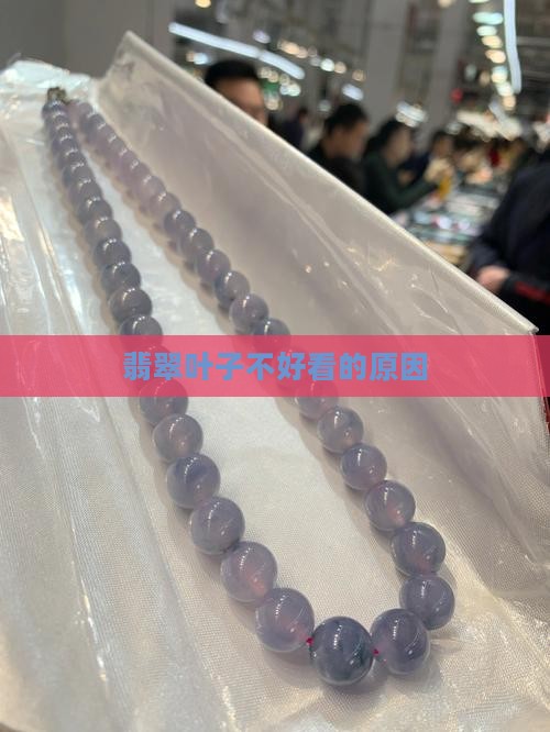 翡翠叶子不好看怎么回事