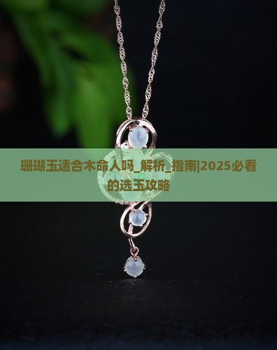 珊瑚玉适合木命人吗