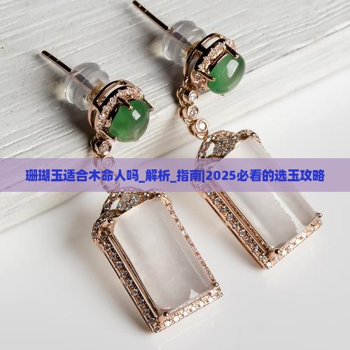 珊瑚玉适合木命人吗