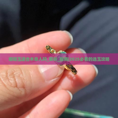 珊瑚玉适合木命人吗