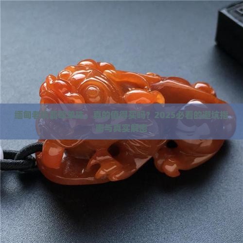 缅甸老坑翡翠单珠