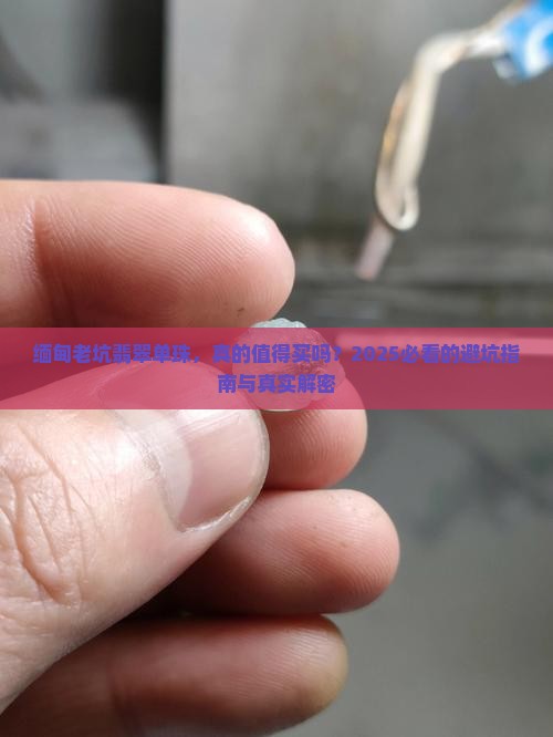 缅甸老坑翡翠单珠