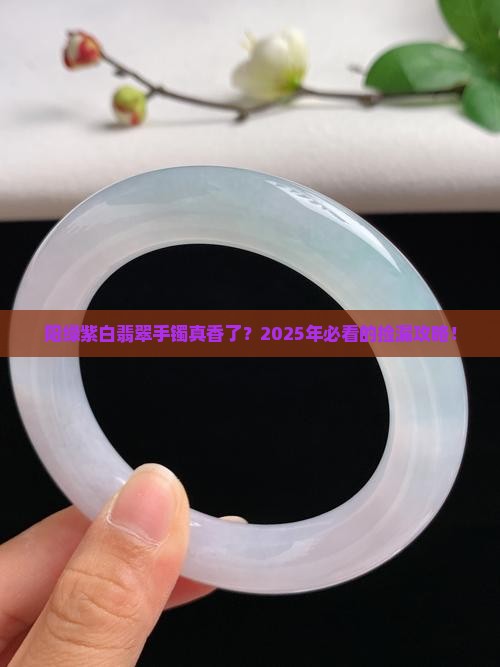 阳绿紫白翡翠手镯