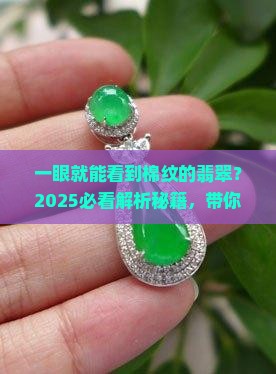 一眼就能看到棉纹的翡翠 一眼就能看到棉纹的翡翠