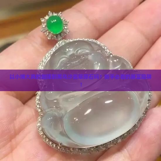 以小博大的黑乌沙翡翠原石