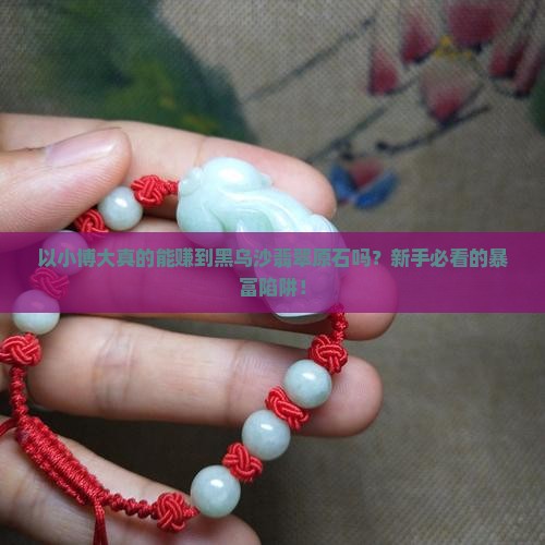 以小博大的黑乌沙翡翠原石