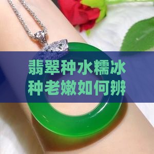 糯冰种水老嫩如何辨别好坏