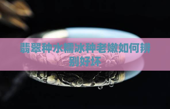 糯冰种水老嫩如何辨别好坏