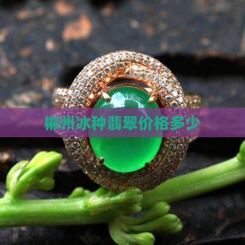 郴州冰种翡翠原石价位多少