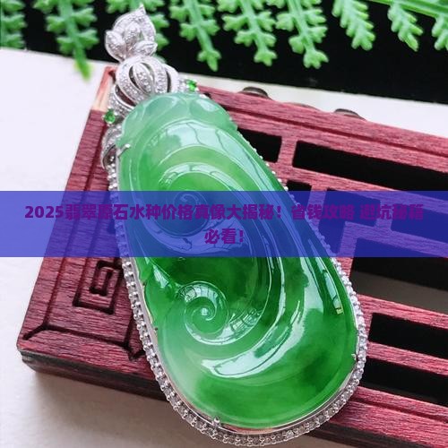 水种翡翠原石多少钱