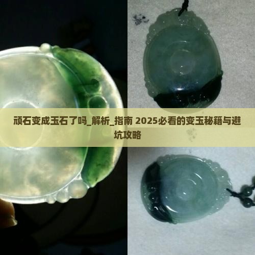 顽石变成玉石了吗