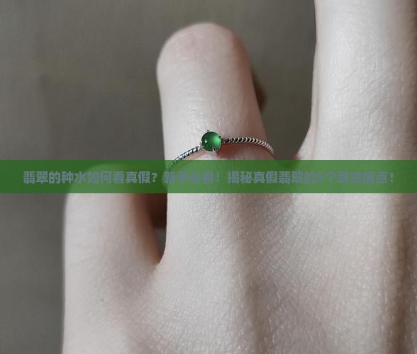 翡翠的种水如何看真假