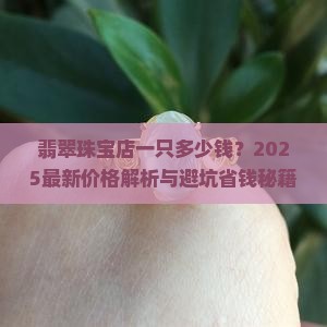 珠宝店翡翠多少钱一只