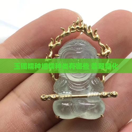 玉镯细糯种类有哪些