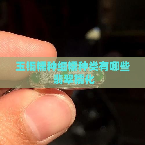 玉镯细糯种类有哪些