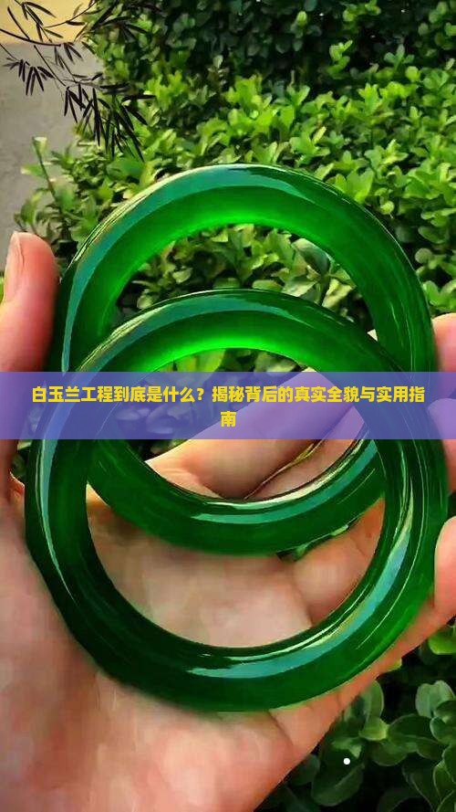 什么是白玉兰工程