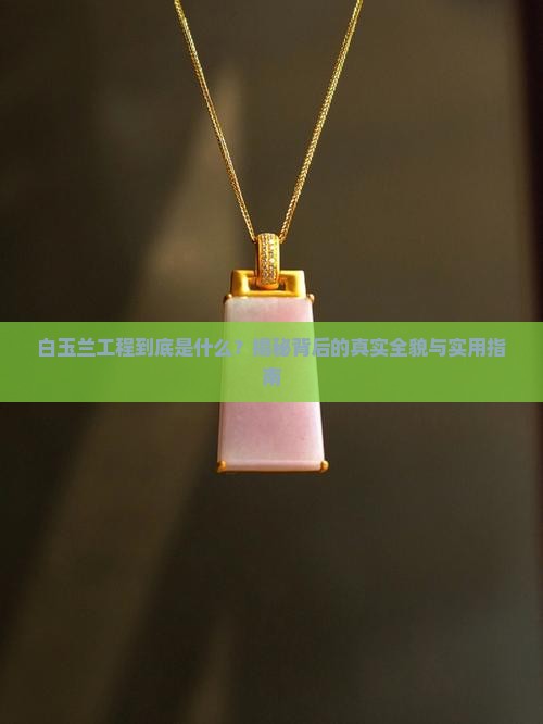 什么是白玉兰工程
