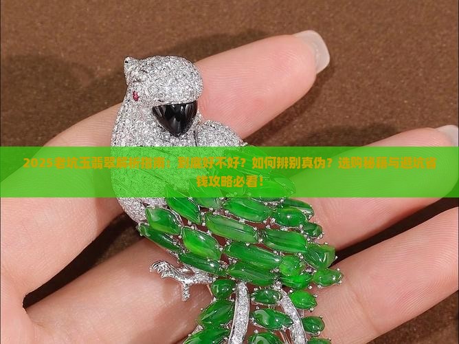 老坑玉翡翠好不好