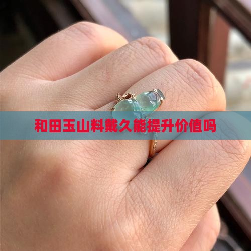 山料和田玉戴久能值钱吗