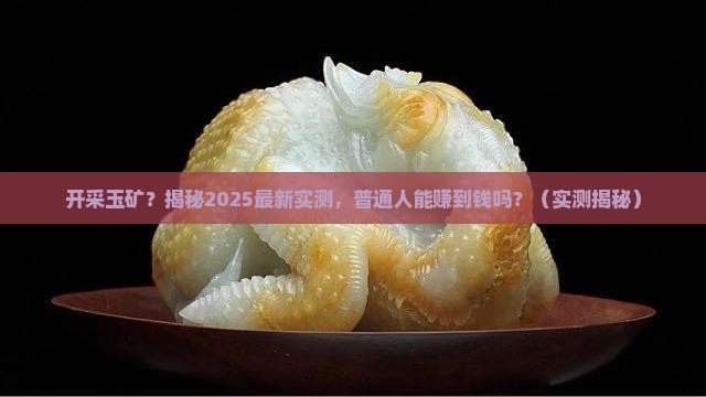 俄罗斯开采玉矿
