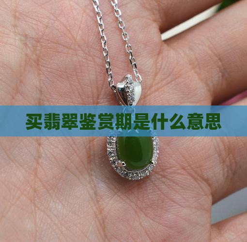 买翡翠鉴赏期是什么意思