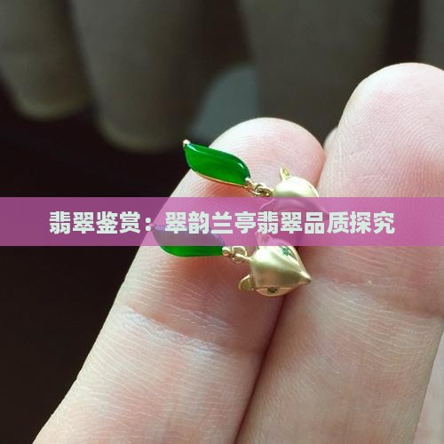 翡翠鉴赏：翠韵兰亭翡翠品质探究
