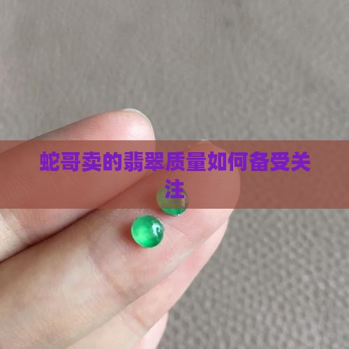 蛇哥卖的翡翠质量如何备受关注