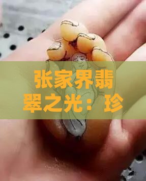张家界翡翠之光：珍品展