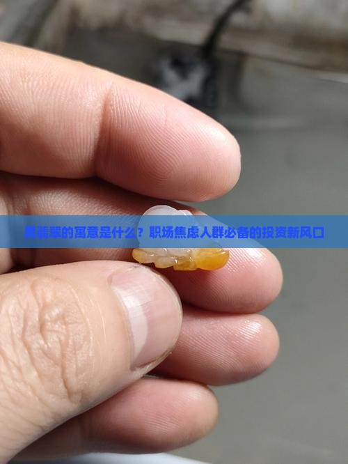 黑翡翠的寓意是什么？职场焦虑人群必备的投资新风口