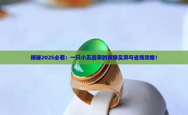 一只小五翡翠