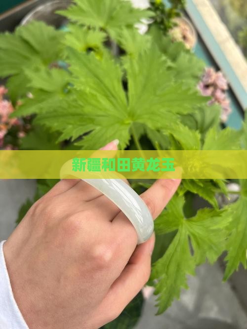 新疆和田黄龙玉