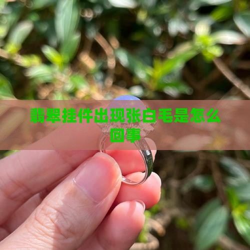 翡翠挂件张白毛是怎么回事