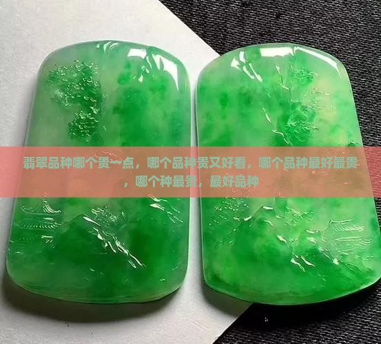 翡翠品种哪个贵一点