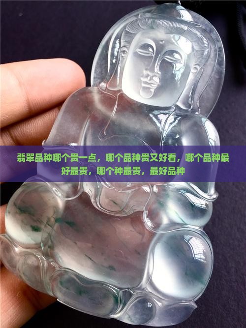 翡翠品种哪个贵一点
