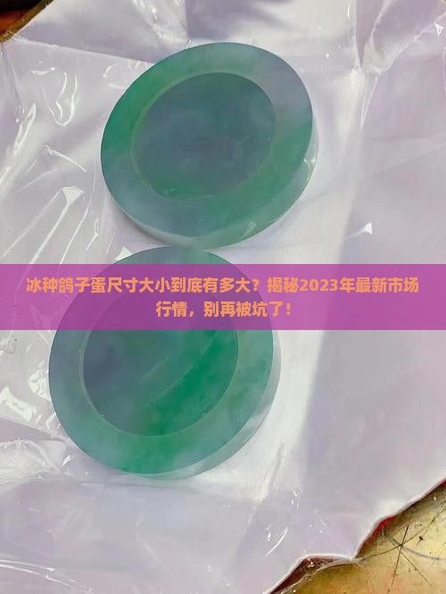 冰种鸽子蛋尺寸大小