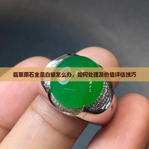 翡翠原石全是白蟒怎么办