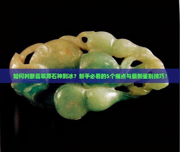 如何判断翡翠原石种到冰
