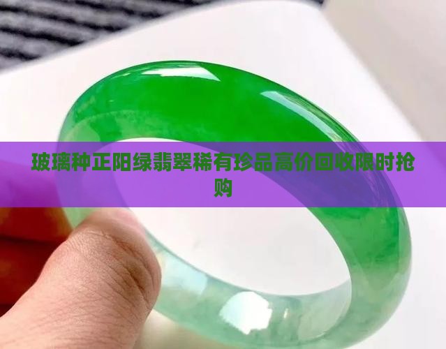 玻璃种正阳绿翡翠