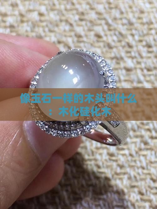 像玉石一样的木头叫什么 像玉石一样的木头叫什么